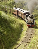 Trem Maria Fuma�a + Epopeia Italiana + Vin�cola + Almo�o + City Tour CORTESIA